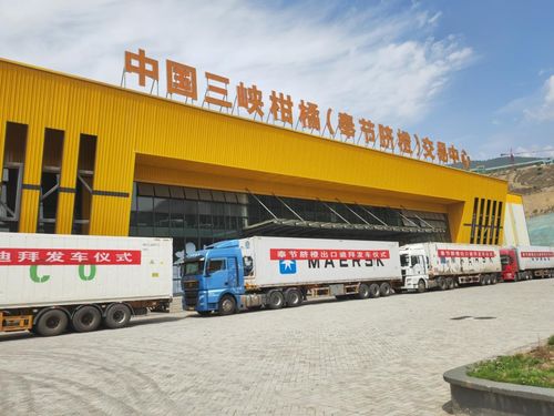 金橙飄香拓眼界，重慶奉節品牌添翼促產業煥發新機